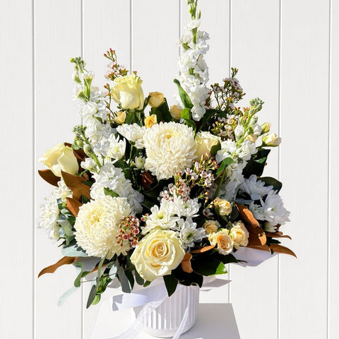 White Burst