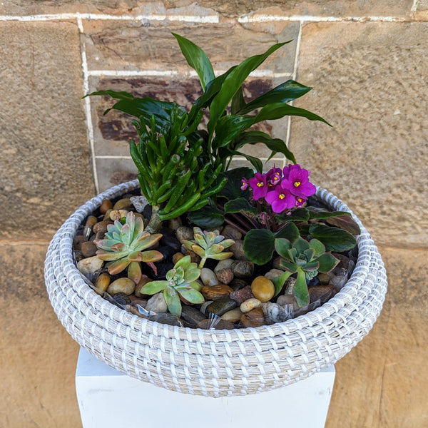 Seasonal Potted Garden