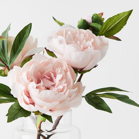 Peony Mix in Glass Vase - Pink