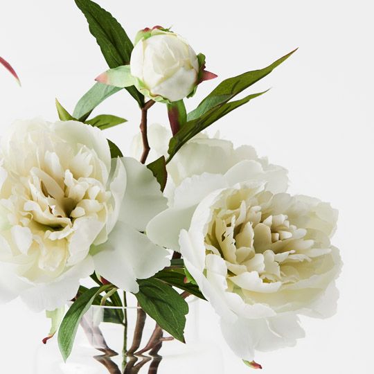 Peony Mix in Glass Vase - White