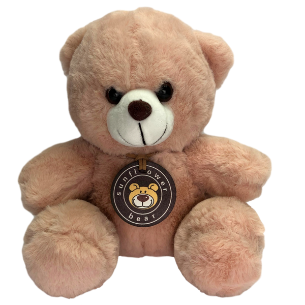 Teddy Bear (20cm) available in pink, blue, brown or grey